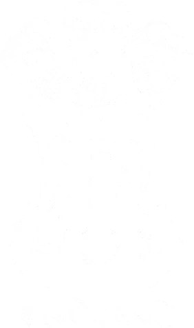 Ashoka Emblem